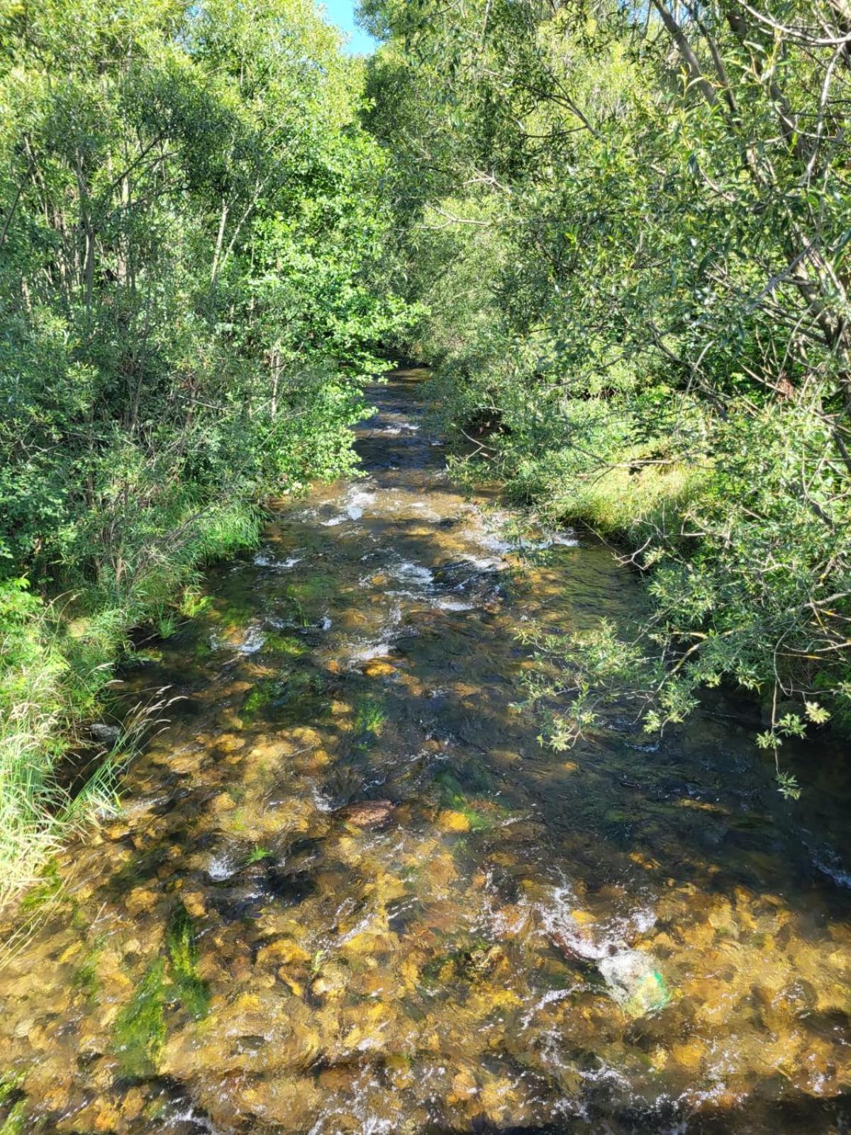 U Wojciecha